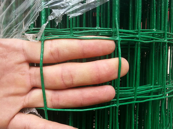 圈玉米荷蘭網(wǎng)